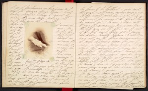 Margaret True's diary, including these pages will be displayed in "A Day in the Life" exhibit